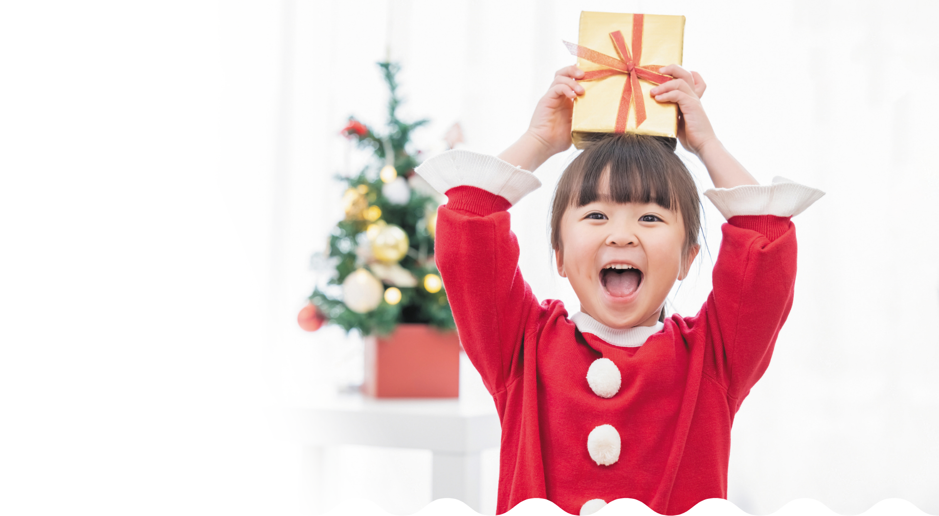 クリスマスツリープレゼントクラウドファンディング