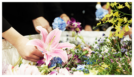 さがみ典礼イメージ